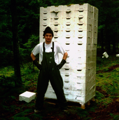 Skjern, Denmark 2001