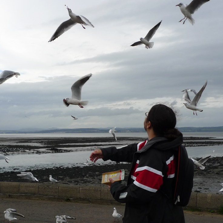 Me feeding dinosaurs at the weekend.