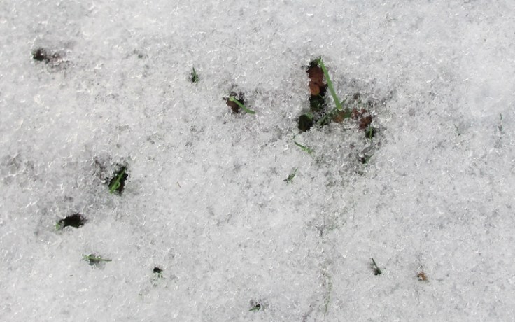 Snow. Tremble, mortals, before its mighty power!