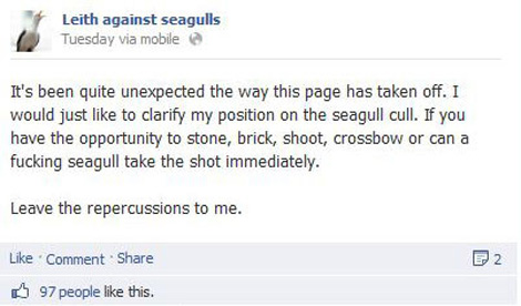 James and a few thousand idiots against seagulls #1