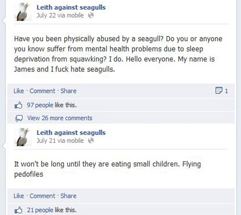 James and a few thousand idiots against seagulls #2 James and a few thousand idiots against seagulls #2